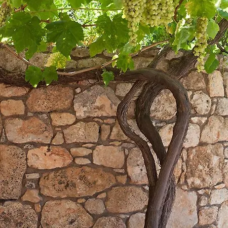 アパートホテル Notos 2*