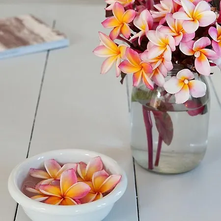 Notos Καρδαμύλη