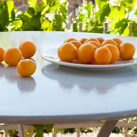 Hotel apartamentowy Notos