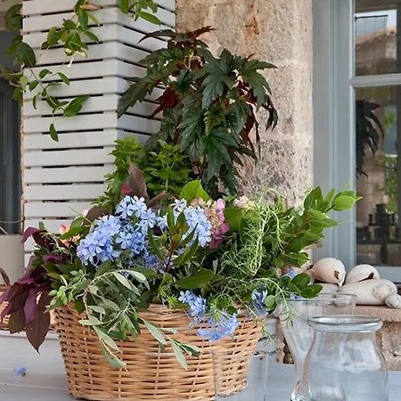 Notos 2* Καρδαμύλη