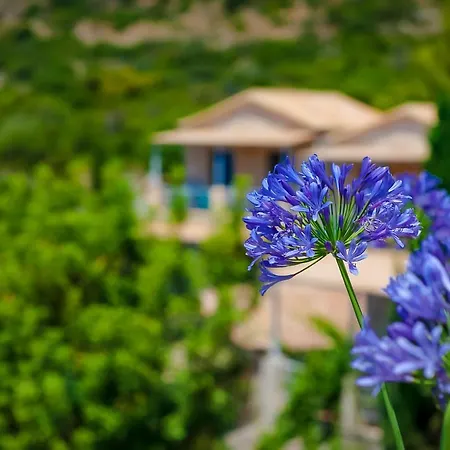 Hotel apartamentowy Notos Kardamyli