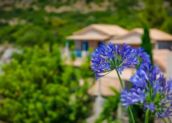 Aparthotel Notos Kardhamili